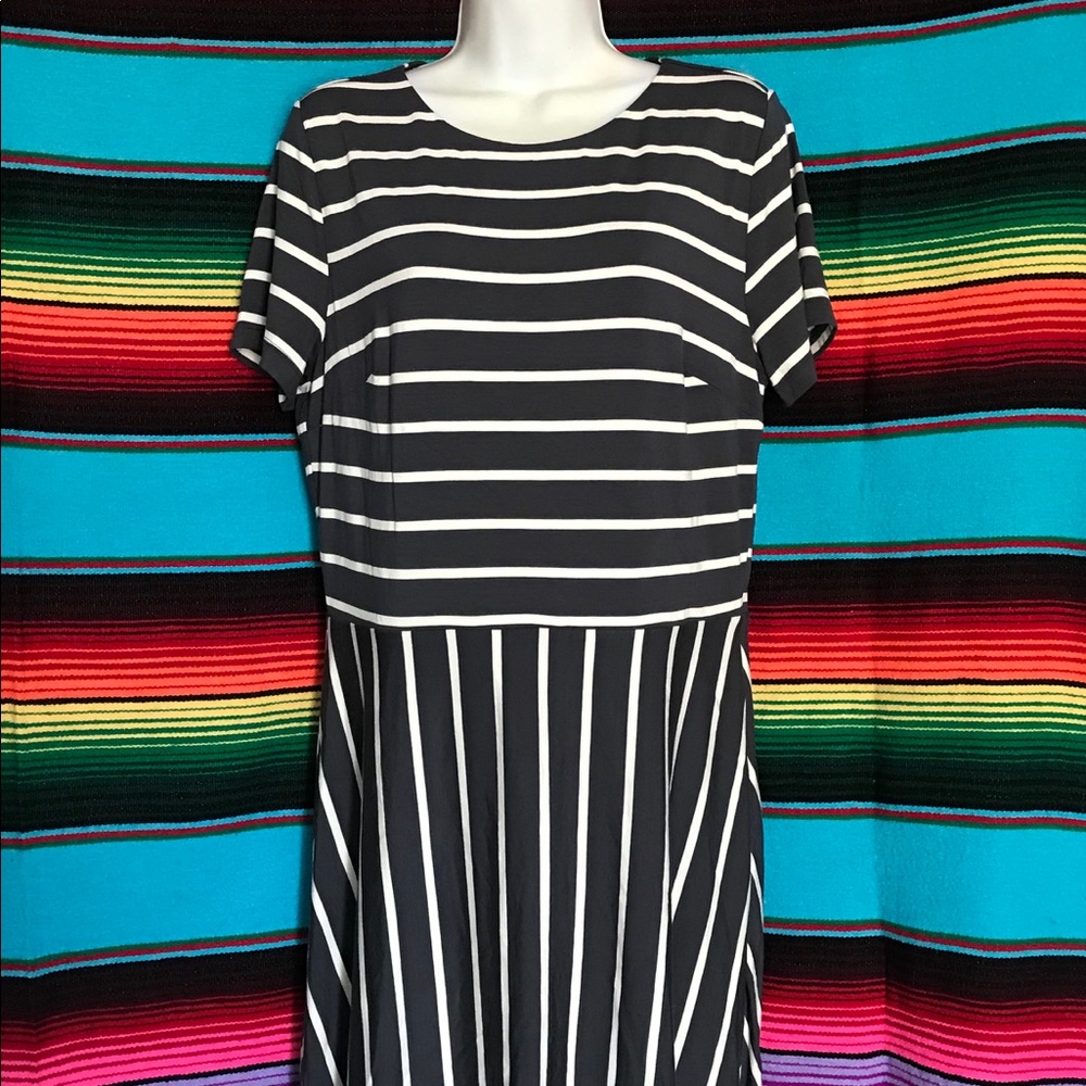 Brand New Dress “ LOFT “. Size 8